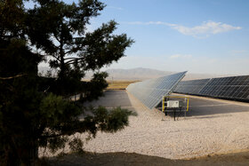 قدم‌های سبز انرژینو در خاک زاوه