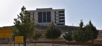 گلخانه‌های نوین چهارمحال و بختیاری؛ دستاورد دانش‌بنیان‌ها