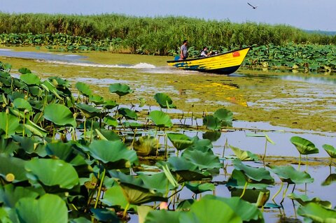 لب مازندران با باران تر شد