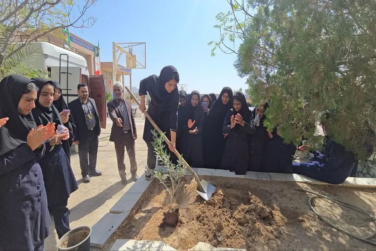 ۴۳۴ پویش درخت‌کاری در خراسان جنوبی اجرا شد