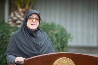 آشفته‌بازار سخنگویی!