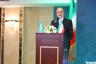 پیشنهاد خواهرخواندگی شهرهای مقدس مکه و مدینه با مشهد