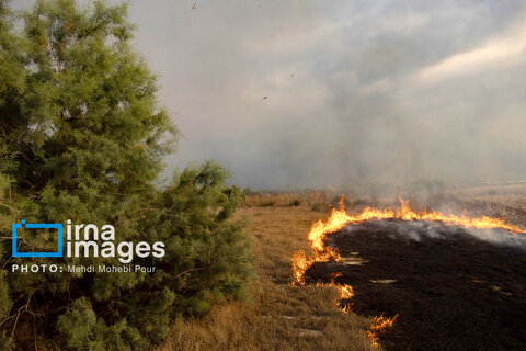 عکس منتخب هفته