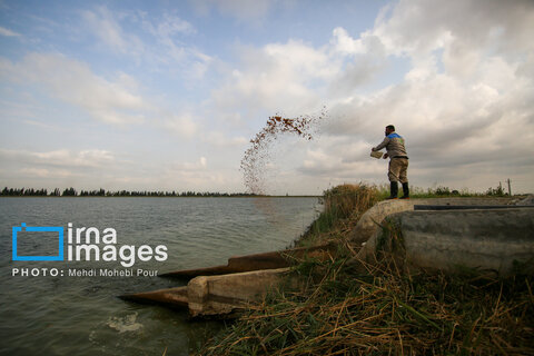 عکس منتخب هفته