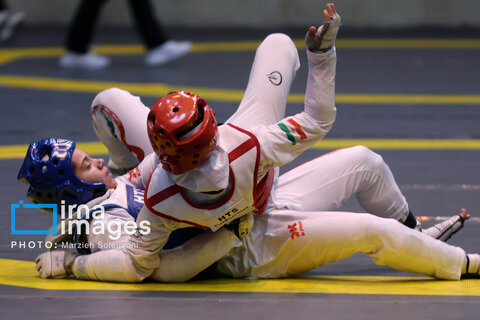 عکس منتخب هفته