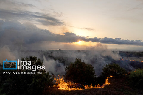 آتش سوزی در «تالاب میانکاله»