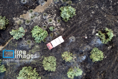 آتش سوزی در «تالاب میانکاله»