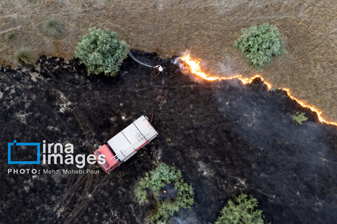 آتش سوزی در «تالاب میانکاله»