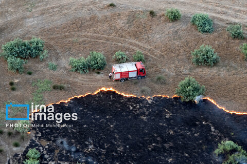 آتش سوزی در «تالاب میانکاله»