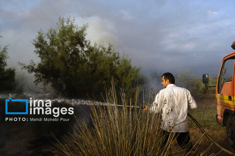 آتش سوزی در «تالاب میانکاله»