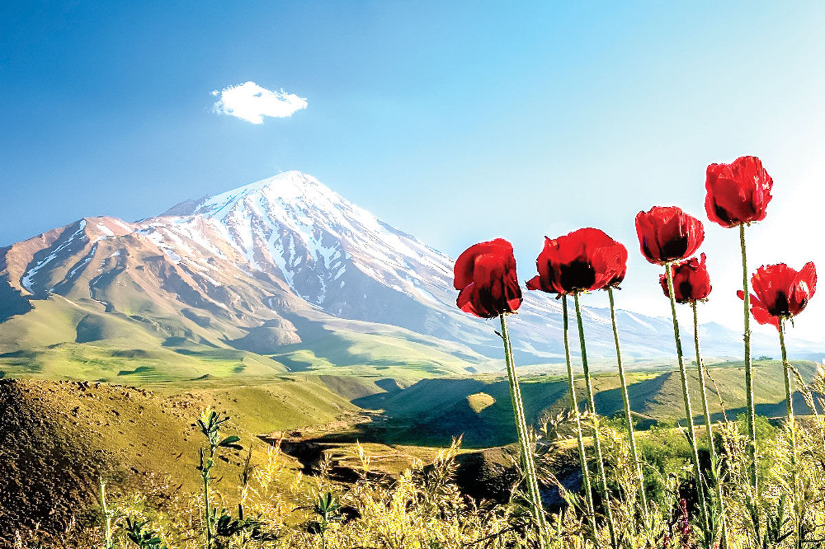 فرمول قوی‌سازی