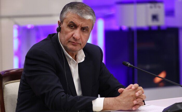 اسلامی در مجمع جهانی اتم: برنامه‌ هسته‌ای ایران شفاف است/ غرب دست از دروغ‌پردازی بردارد