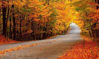 النگدره، شاهکار طبیعی ایران که در پاییز زیباتر از همیشه می‌شود