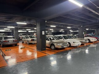 البرز پایلوت خودروهای تاریخی کشور؛ احیای ۳۰۰۰ خودروی کلاسیک