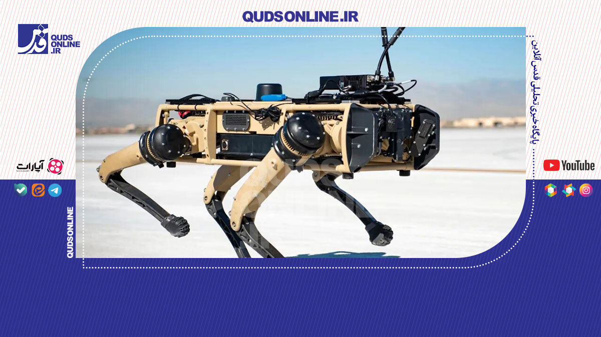 فیلم | تولید انبوه ربات سگ برای ارتش چین