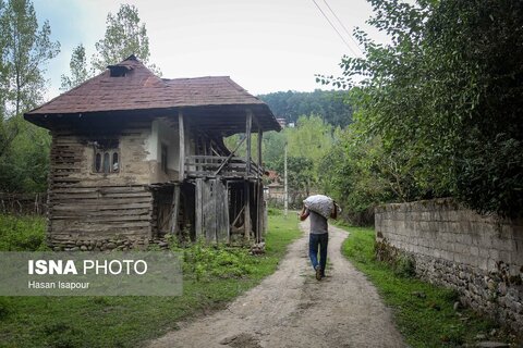 گزارش تصویری | روستای خالی از سکنه اطراف سد لفور - سوادکوه