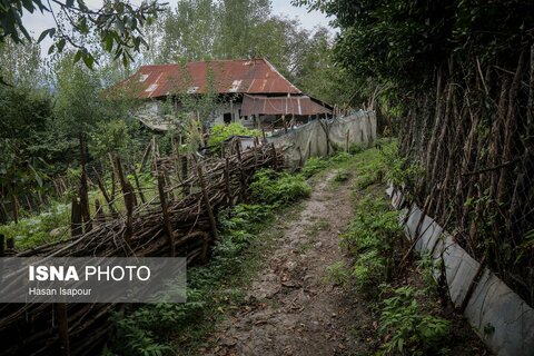 گزارش تصویری | روستای خالی از سکنه اطراف سد لفور - سوادکوه