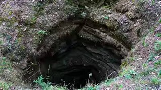 ۵۴ ساعت گرفتاری در چاه پر از مار