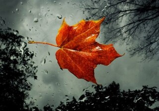 وضعیت دما و بارش کشور تا نیمه آبان/ بارش‌ محدود به نیمه شمالی و دمای متغیر در پاییز