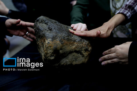 عکس روز | رونمایی از جدیدترین شهاب‌سنگ سیارکی