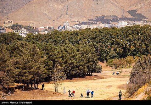 گزارش تصویری | مسابقات برترین‌های گلف کشور