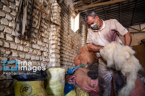 گزارش تصویری | مشاغل فراموش شده؛ «نمد مالی»
