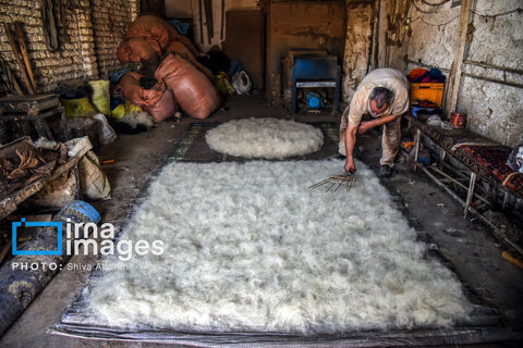 گزارش تصویری | مشاغل فراموش شده؛ «نمد مالی»