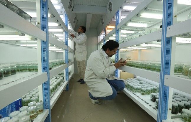 ارسال ۳۸ نمونه بیولوژیک جانوری اردبیل به بانک ژن کشور