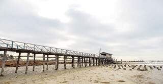 «بندر ترکمن» اقتصاد به گل نشسته