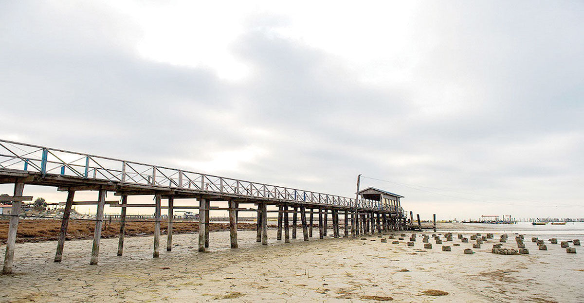 «بندر ترکمن» اقتصاد به گل نشسته