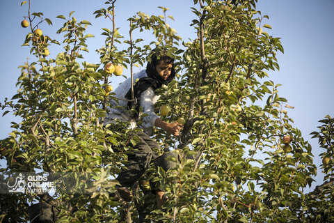 تولید برای محرومیت زدایی