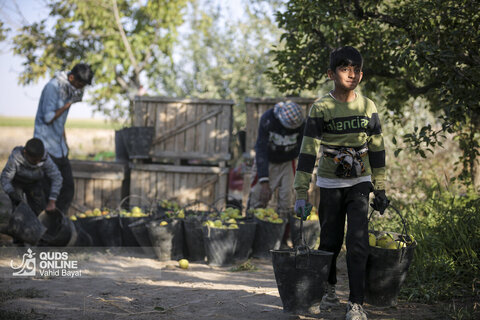 تولید برای محرومیت زدایی