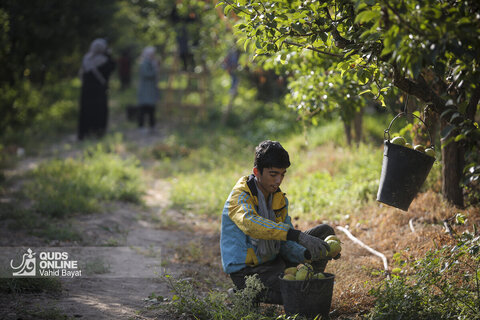 تولید برای محرومیت زدایی
