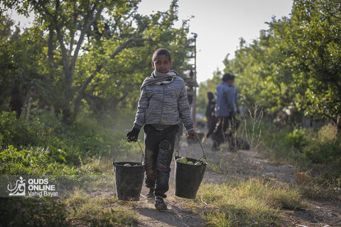 تولید برای محرومیت زدایی