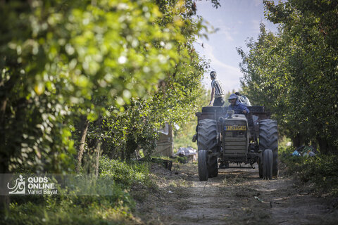 تولید برای محرومیت زدایی