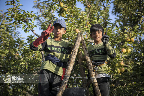 تولید برای محرومیت زدایی