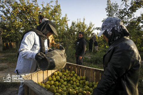 تولید برای محرومیت زدایی