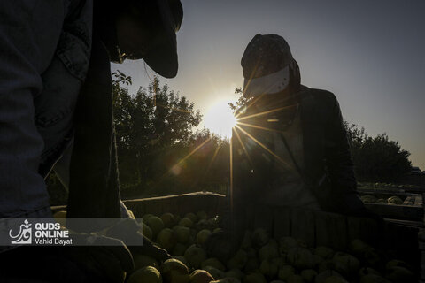 تولید برای محرومیت زدایی