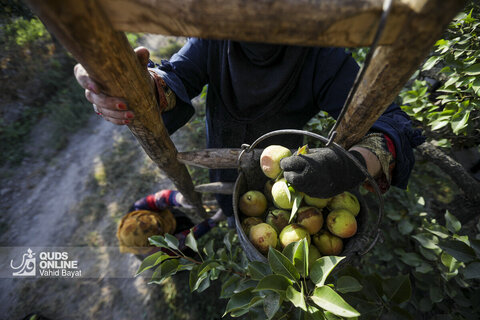 تولید برای محرومیت زدایی