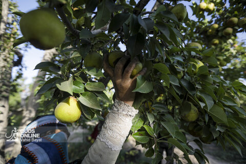 تولید برای محرومیت زدایی