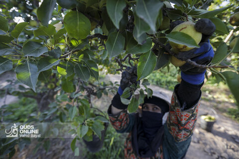 تولید برای محرومیت زدایی