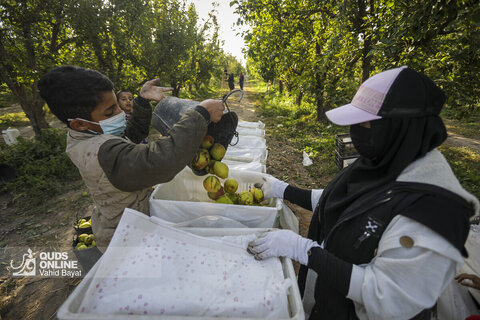 تولید برای محرومیت زدایی