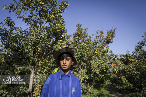 تولید برای محرومیت زدایی