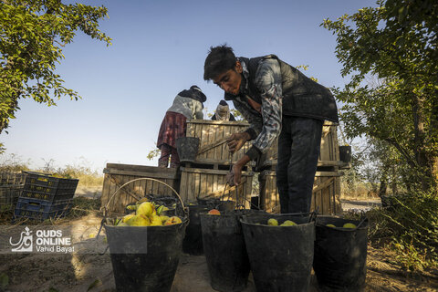 تولید برای محرومیت زدایی