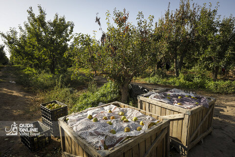 تولید برای محرومیت زدایی