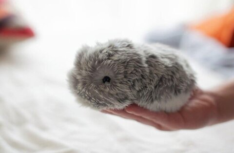 مافلین؛ همدمی از آینده/ آیا عصر ۴ میلیون شخصیت روباتیک آغاز شده است؟