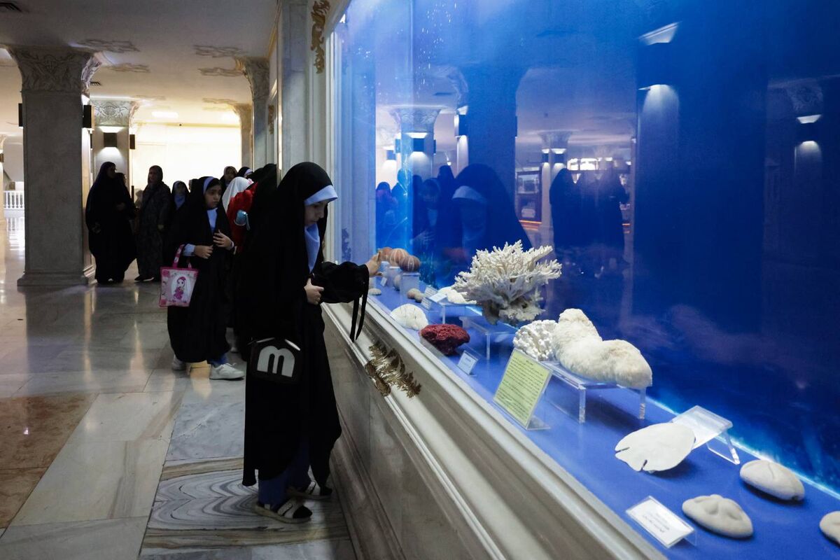 اجرای ویژه‌برنامه «صلح با میراث طبیعی» در موزه حرم رضوی