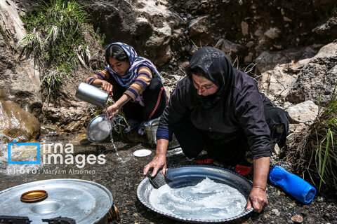 عکس روز | زندگی عشایری