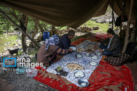 عکس روز | زندگی عشایری