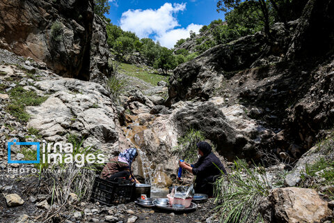 عکس روز | زندگی عشایری